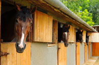 free Blackmoor stable construction quotes